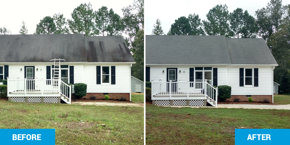 Roof Cleaning Raleigh Steam Pro.jpg